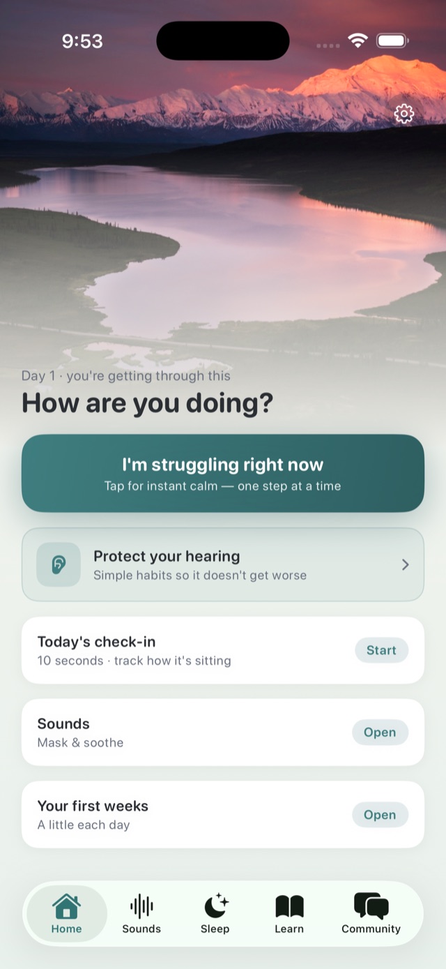 allay — home screen